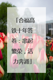 合福高铁十年答卷：串起繁荣，活力奔涌