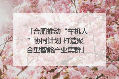 合肥推动“车机人”协同计划 打造聚合型智能产业集群