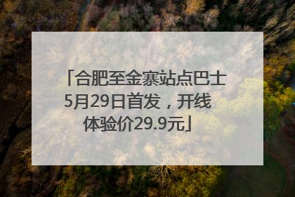 合肥至金寨站点巴士5月29日首发，开线体验价29.9元