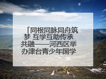 同根同脉同舟筑梦 互学互助传承共融——河西区举办津台青少年国学交流活动