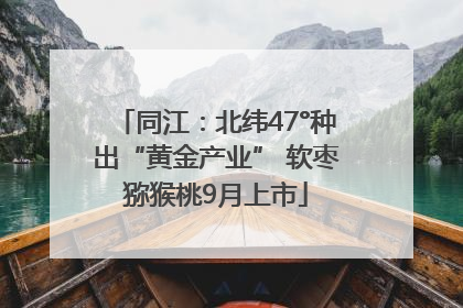 同江：北纬47°种出“黄金产业” 软枣猕猴桃9月上市