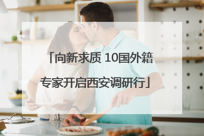 向新求质 10国外籍专家开启西安调研行