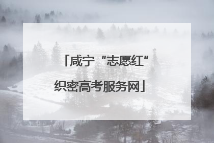 咸宁“志愿红”织密高考服务网