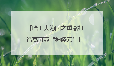 哈工大为国之重器打造高可靠“神经元”