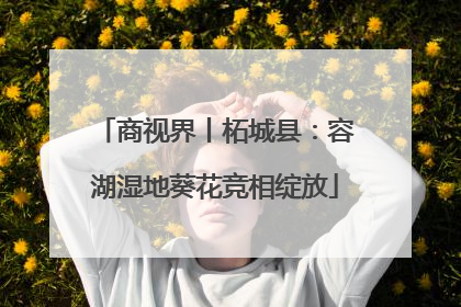 商视界丨柘城县：容湖湿地葵花竞相绽放