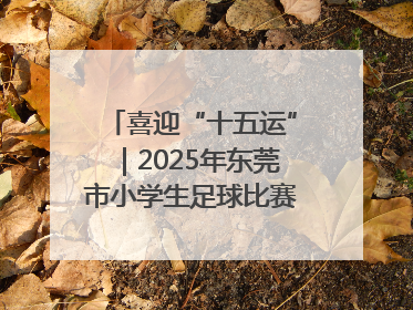 喜迎“十五运”｜2025年东莞市小学生足球比赛圆满收官