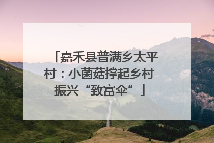 嘉禾县普满乡太平村：小菌菇撑起乡村振兴“致富伞”