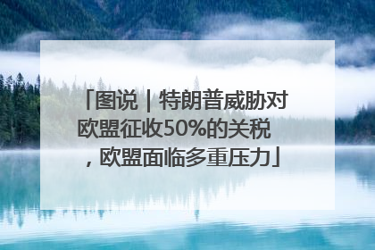 图说｜特朗普威胁对欧盟征收50%的关税，欧盟面临多重压力