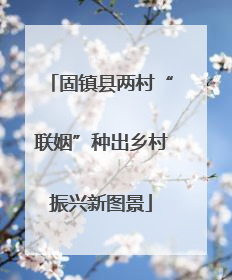 固镇县两村“联姻”种出乡村振兴新图景