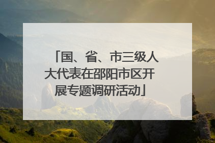 国、省、市三级人大代表在邵阳市区开展专题调研活动