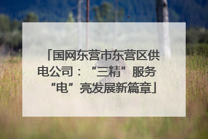 国网东营市东营区供电公司：“三精”服务“电”亮发展新篇章