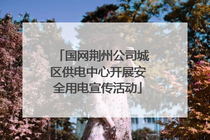 国网荆州公司城区供电中心开展安全用电宣传活动