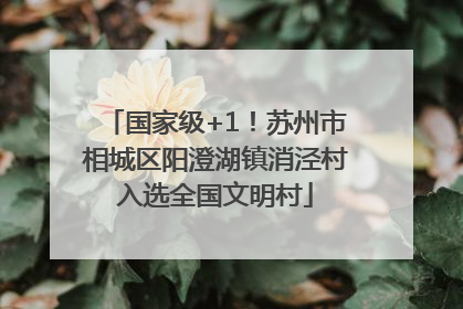 国家级+1！苏州市相城区阳澄湖镇消泾村入选全国文明村