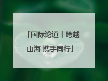 国际论道丨跨越山海 携手同行