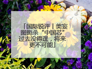 国际锐评丨美妄图扼杀“中国芯”过去没得逞，将来更不可能