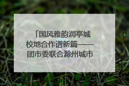 国风雅韵润亭城 校地合作谱新篇——团市委联合滁州城市职业学院助力传统文化“破圈”绽放