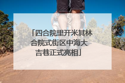 四合院里开米其林 合院式街区中海大吉巷正式亮相