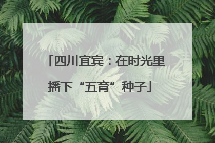 四川宜宾：在时光里播下“五育”种子