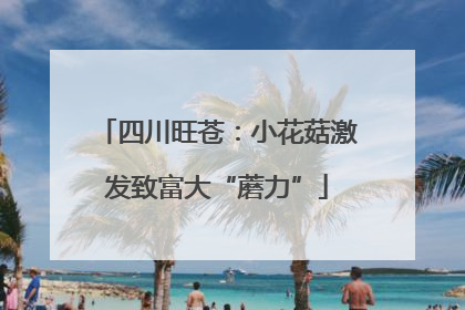 四川旺苍：小花菇激发致富大“蘑力”