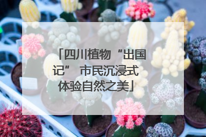 四川植物“出国记” 市民沉浸式体验自然之美