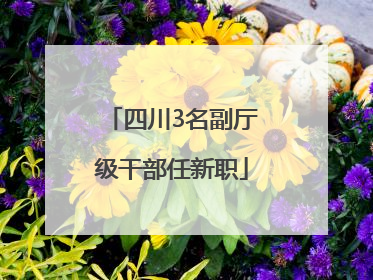 四川3名副厅级干部任新职
