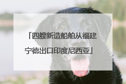 四艘新造船舶从福建宁德出口印度尼西亚