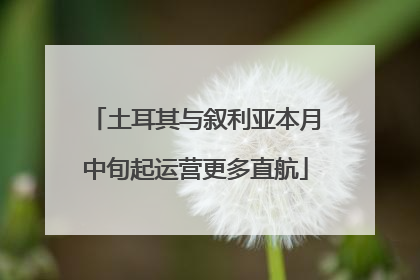 土耳其与叙利亚本月中旬起运营更多直航