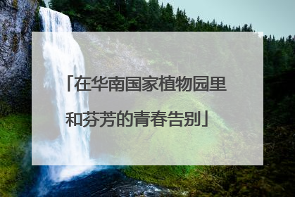 在华南国家植物园里和芬芳的青春告别