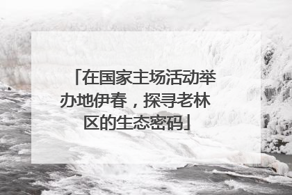 在国家主场活动举办地伊春，探寻老林区的生态密码