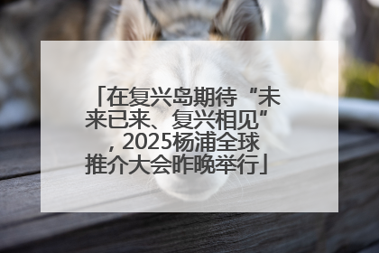在复兴岛期待“未来已来、复兴相见”，2025杨浦全球推介大会昨晚举行