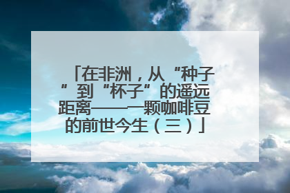 在非洲，从“种子”到“杯子”的遥远距离——一颗咖啡豆的前世今生（三）