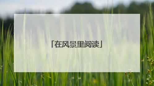 在风景里阅读
