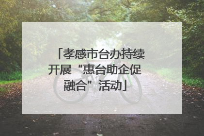 孝感市台办持续开展“惠台助企促融合”活动