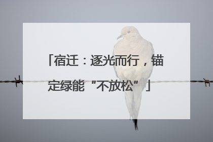 宿迁：逐光而行，锚定绿能“不放松”
