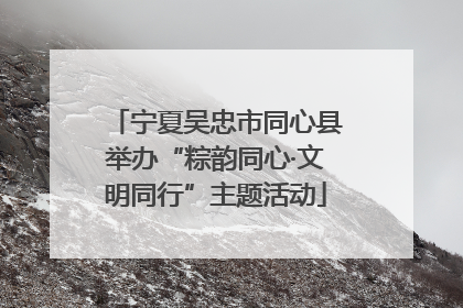 宁夏吴忠市同心县举办“粽韵同心·文明同行”主题活动