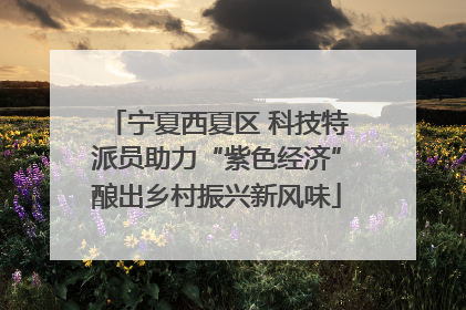宁夏西夏区 科技特派员助力“紫色经济”酿出乡村振兴新风味