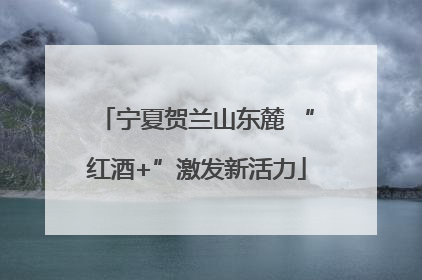 宁夏贺兰山东麓 “红酒+”激发新活力