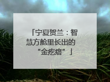 宁夏贺兰：智慧方舱里长出的“金疙瘩”