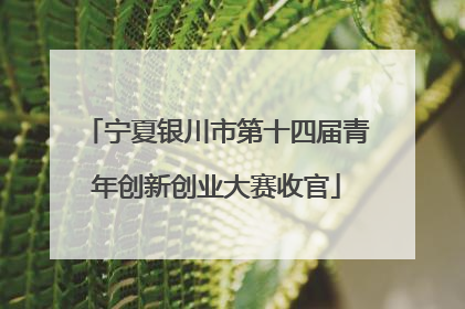 宁夏银川市第十四届青年创新创业大赛收官