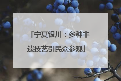 宁夏银川：多种非遗技艺引民众参观