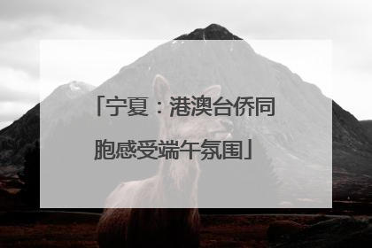宁夏：港澳台侨同胞感受端午氛围