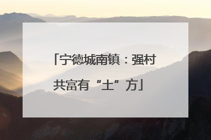 宁德城南镇：强村共富有“土”方