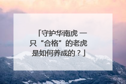 守护华南虎 一只“合格”的老虎是如何养成的？