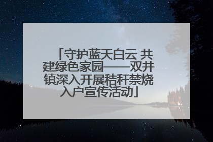 守护蓝天白云 共建绿色家园——双井镇深入开展秸秆禁烧入户宣传活动