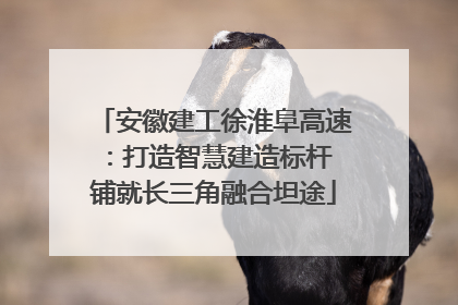 安徽建工徐淮阜高速：打造智慧建造标杆 铺就长三角融合坦途
