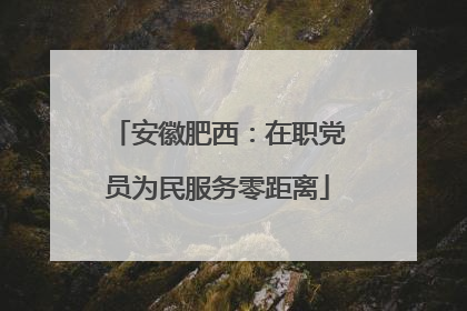 安徽肥西：在职党员为民服务零距离