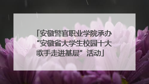 安徽警官职业学院承办“安徽省大学生校园十大歌手走进基层”活动