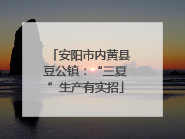 安阳市内黄县豆公镇：“三夏”生产有实招