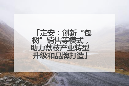 定安：创新“包树”销售等模式，助力荔枝产业转型升级和品牌打造