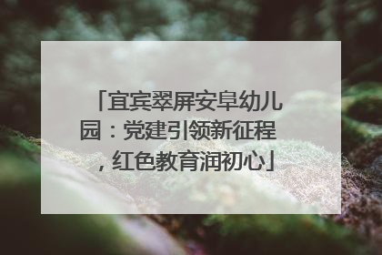 宜宾翠屏安阜幼儿园：党建引领新征程，红色教育润初心